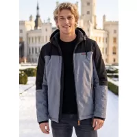 Сив