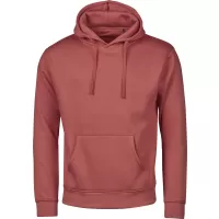 Сив