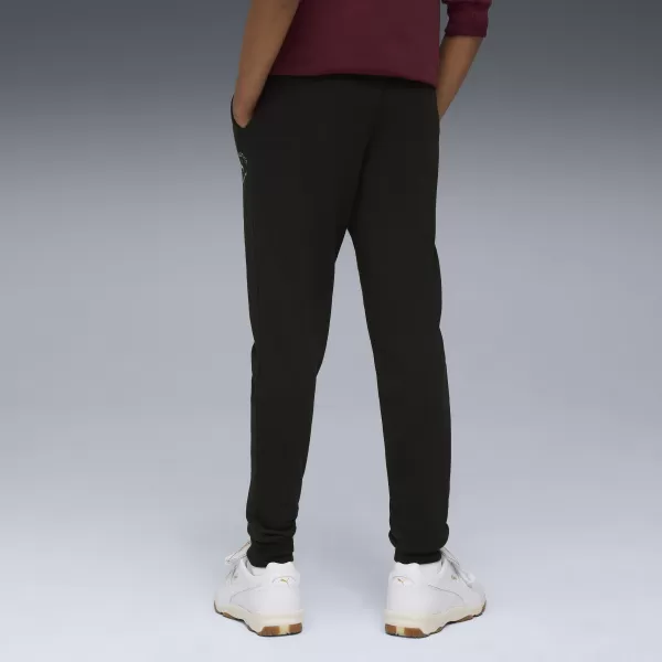  Асюта PUMA CLASS SWEATPANTS TR B 68885301 PUMA BLACK 