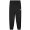 Асюта PUMA ACTIVE SPORTS GRAPHIC POLY PANTS B 52769301 PUMA BLACK