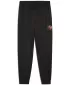 Асюта PUMA ACTIVE SPORTS GRAPHIC POLY PANTS B 52769301 PUMA BLACK