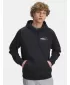 Мъжки суичър UNDER ARMOUR UA RIVAL FLEECE HBR LOGO HD 6003955-001 ЧЕРЕН