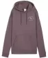 Дамска суитчър PUMA CLASS RELAXED HOODIE 68813288 СТАФИДИ