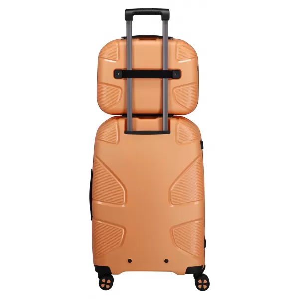  куфар IMPACKT IP1 BEAUTY CASE ГРАДИНСКА КАЙСИЯ 