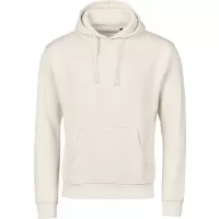 Сив