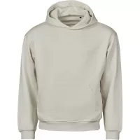 Сив