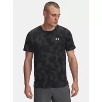 Сив