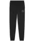 Асюта PUMA CLASS SWEATPANTS TR B 68885301 PUMA BLACK