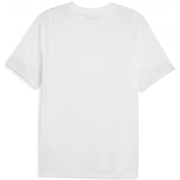  Мъжки фланелка PUMA TEAMCUP TRAINING JERSEY 659167_04 PUMA WHITE/PUMA SILVER 