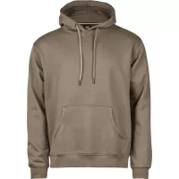Сив