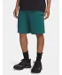 Мъжки шорти UNDER ARMOUR UA RIVAL LW SHORTS 6009345-338 ЗЕЛЕНО