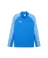 Мъжки суичър PUMA TEAMLIGA26 TRG 1/4 ZIP TOP 659724_02 ELECTRO ROYAL/ ЕЛЕКТРО РОЯЛ/ПУМА БЯЛО