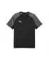 Мъжка тениска PUMA TEAMLIGA26 JERSEY 659721_03 ПУМА ЧЕРНА/ПУМА БЯЛА