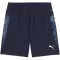 Мъжки шорти PUMA TEAMCUP TRAINING SHORTS 659171-06 PUMA ТЪМНОСИНЬО/PUMA СРЕБРО