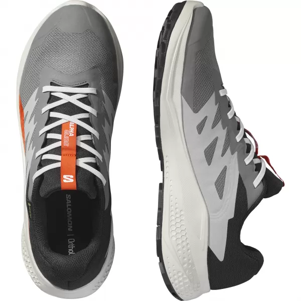  Мъжки обувки SALOMON ALPHAGLIDE GTX L47975300 CASTLEROCK/ЛУННА СКАЛА/ЧЕРИ ДОМАТ 