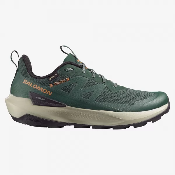 Мъжки обувки SALOMON ELIXIR ACTIV GTX L49229800 СКАРАБЕЙ/ЗЕЛЕНИ ФРОНТОНИ/ЧИЛИ 
