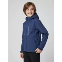 Син