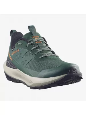 Мъжки обувки SALOMON ELIXIR ACTIV GTX L49229800 СКАРАБЕЙ/ЗЕЛЕНИ ФРОНТОНИ/ЧИЛИ