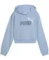 Детски суичър PUMA ESS 2 COLOR LOGO HOODIE 686072-48 ВИСОК ТРОПИК