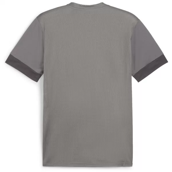  Мъжко трико PUMA TEAMGOAL MATCHDAY JERSEY 705747-13 ЧУГУН/БЯЛ/СИВ СЯНКА 