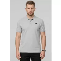 Сив