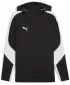 Мъжки суичър PUMA TEAMEVOSTRIPE HOODY 659954-03 PUMA BLACK/PUMA SILVER