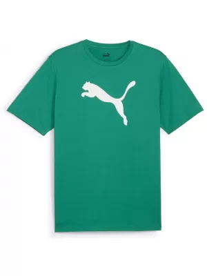 Мъжка тениска PUMA TEAMRISE LOGO JERSEY COTTON 658705-05 SPORT GREEN/ СПОРТНО ЗЕЛЕНО/ПУМА БЯЛО