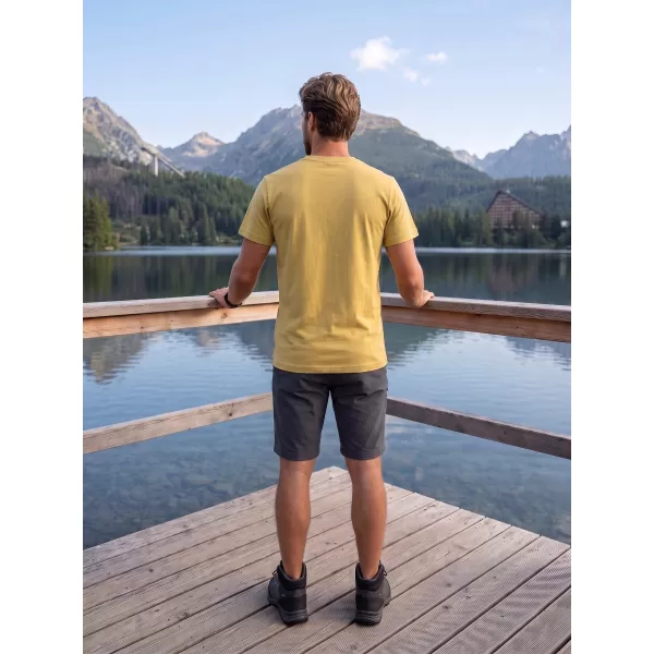  Мъжка тениска ALPINE PRO TERMES 4 ЮЖЕН МЪХ PC ВАРИАНТ 