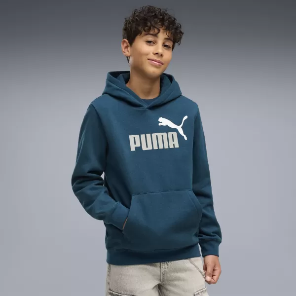  Детски суичър PUMA ESS 2 COLOR NO. 1 LOGO HOODIE FL B 68582236 СРЕДНОЩЕН БЕНЗИН 