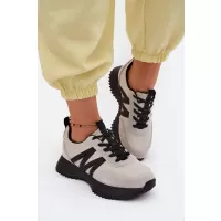 Сив