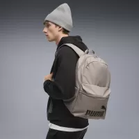 Сив