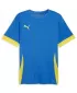 Мъжко трико PUMA TEAMGOAL MATCHDAY JERSEY 705747-16 E.BLU.LEMONADE/ПО-БЪРЗО ЖЪЛТО