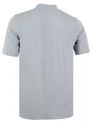 Мъжки t -риза с яка ALPINE PRO ISTAS СВЕТЛО СИВО