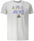 Риза ALPINE PRO ABIC 7 MTSP404 СИВО