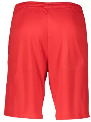 Мъжки шорти ALTISPORT ALM006612 ЧЕРВЕН