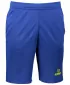 Мъжки шорти ALTISPORT ALM006612 КРАЛСКО СИНЬО