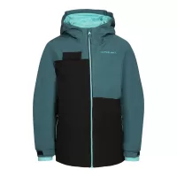 Сив