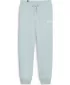 Дамски панталон PUMA ESS+ SMALL LOGO HW PANTS TR 678744-22 СИНЬО
