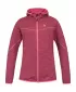 Дамски суичър HANNAH DAGNYS HOODY ОРЛОВИ НОКТИ ИМАШЕ I