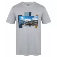 Сив