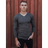 Сив