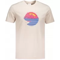 Сив