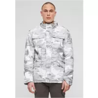 Сив