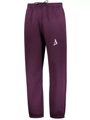 Мъжки спортен панталон ALTISPORT BYB/ALM002BY286 БОРДО