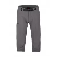 Сив