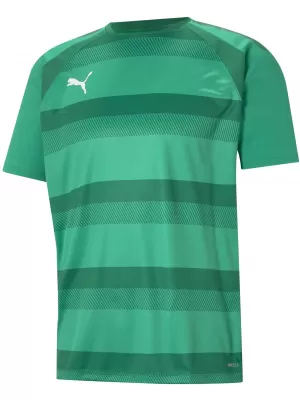 Мъжки функционална риза PUMA TEAMVISION JERSEY 704921_05 PEPPERGREEN/POWERGREEN/WHITE