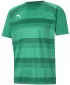 Мъжки функционална риза PUMA TEAMVISION JERSEY 704921_05 PEPPERGREEN/POWERGREEN/WHITE