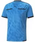 Футболна фланелка PUMA TEAMLIGA REFEREE JERSEY 705452_18 BLEU AZUR/ BLEU AZUR/PUMA BLACK