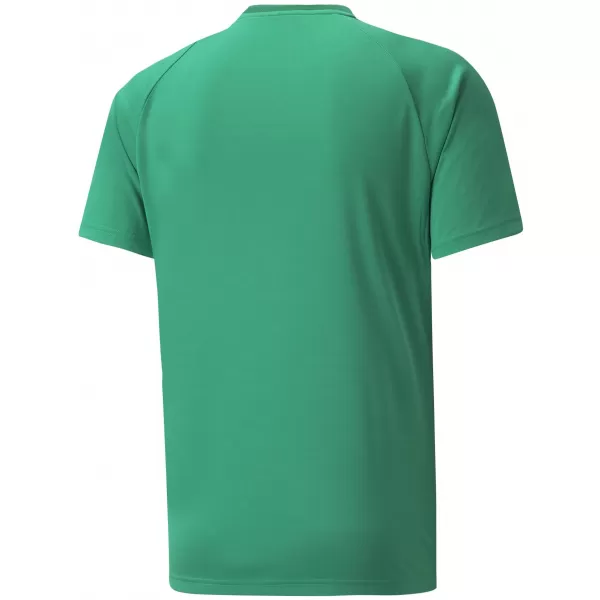  Мъжки функционална риза PUMA TEAMVISION JERSEY 704921_05 PEPPERGREEN/POWERGREEN/WHITE 