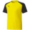 T -shirt PUMA TEAMPACER JERSEY JR 704926_07 КИБЕР ЖЪЛТО/ ЧЕРНО/ БЯЛО